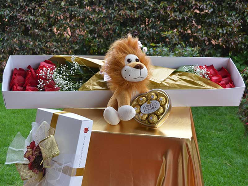 Caja de 24 Rosas + Chocolates Ferrero Estuche de Corazón + Peluche de León