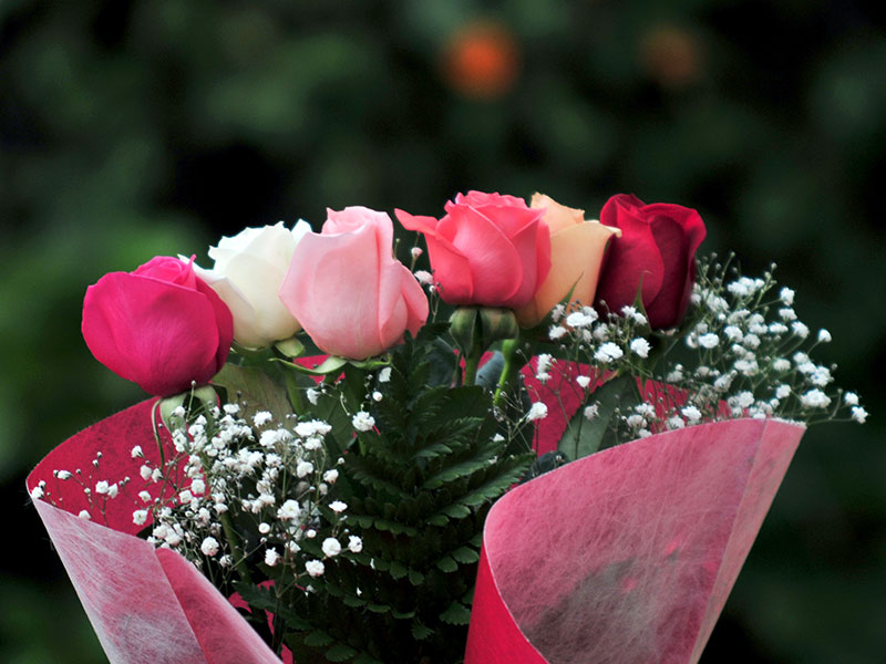 Desea un Feliz cumpleaños con una Caja de Rosas