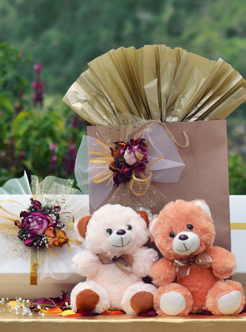 Caja de 12 Rosas más Peluches