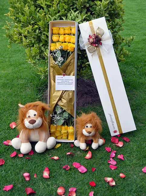 Caja de 12 Rosas más Peluches