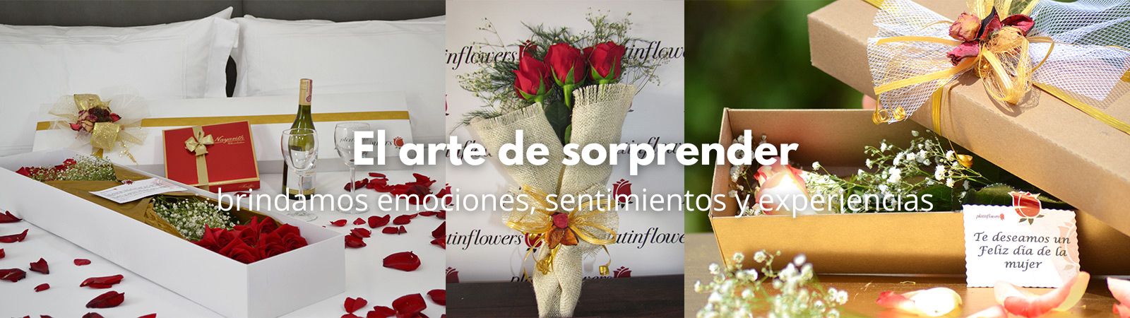 regalos platinflowers